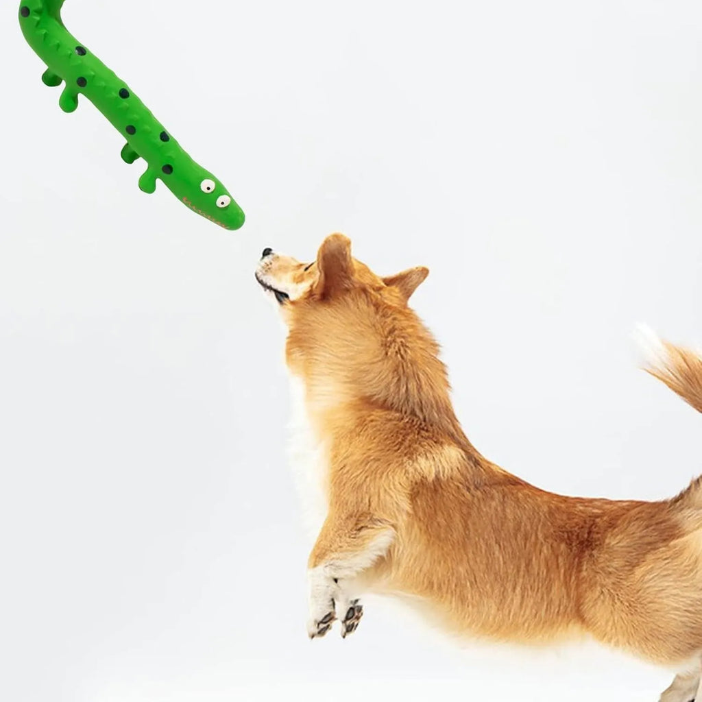 Green cartoon lizard-shaped latex dog squeaky chew toy for aggressive chewers.