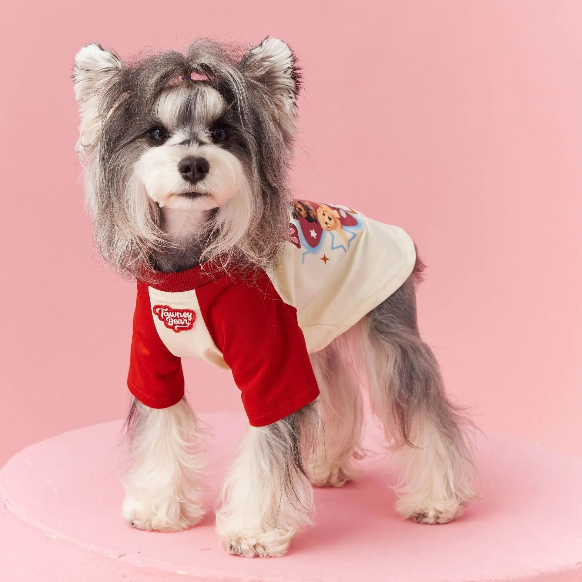 Red embroidered cotton dog summer vest showing contrast colour detailing and handsome styling