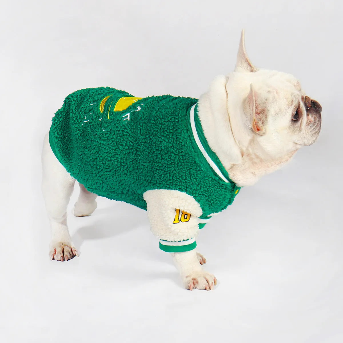 Green fleece-lined cotton dog winter coat showing size options L to 4XL