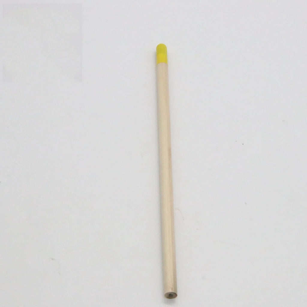 Seed pencil with coloured degradable capsule containing plantable seeds next to a small potted seedling.