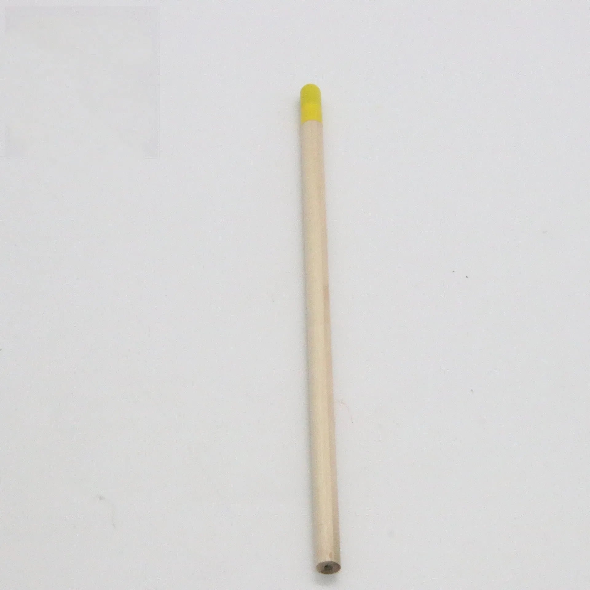 Seed pencil with coloured degradable capsule containing plantable seeds next to a small potted seedling.