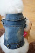 Retro scratch pattern denim vest for dogs in dark and light wash colours