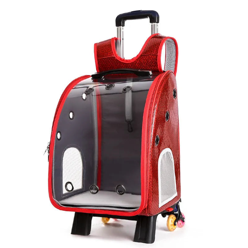 Transparent folding shoulder pet trolley bag for small dogs and cats in blue colour