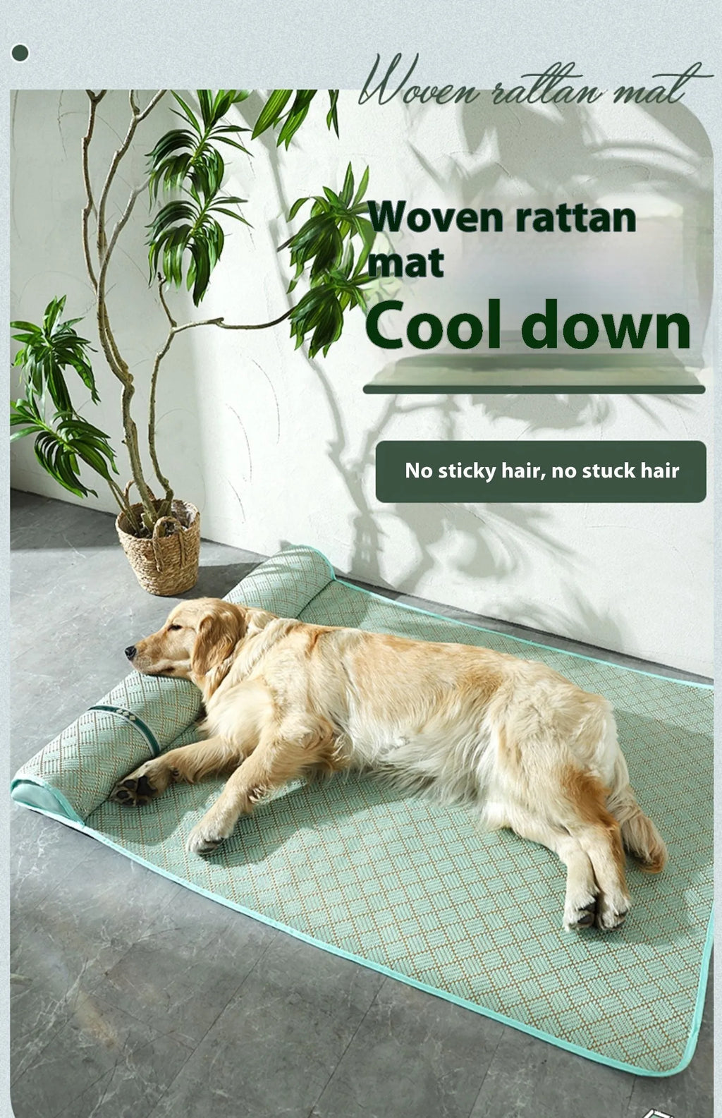 Large dog mat kennel in Golden Green with raised pillow edge for summer cooling