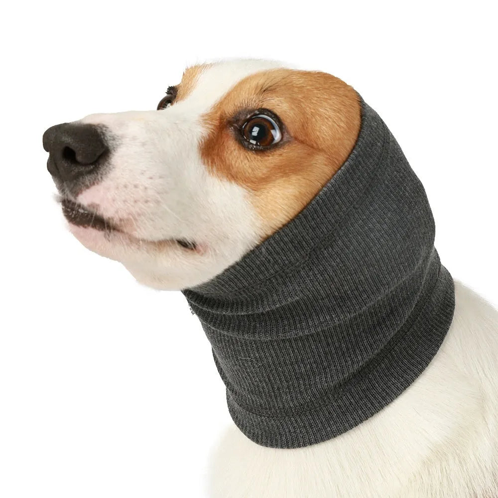 Blue polyester dog headband scarf shown on a dog, casual style, size options available.