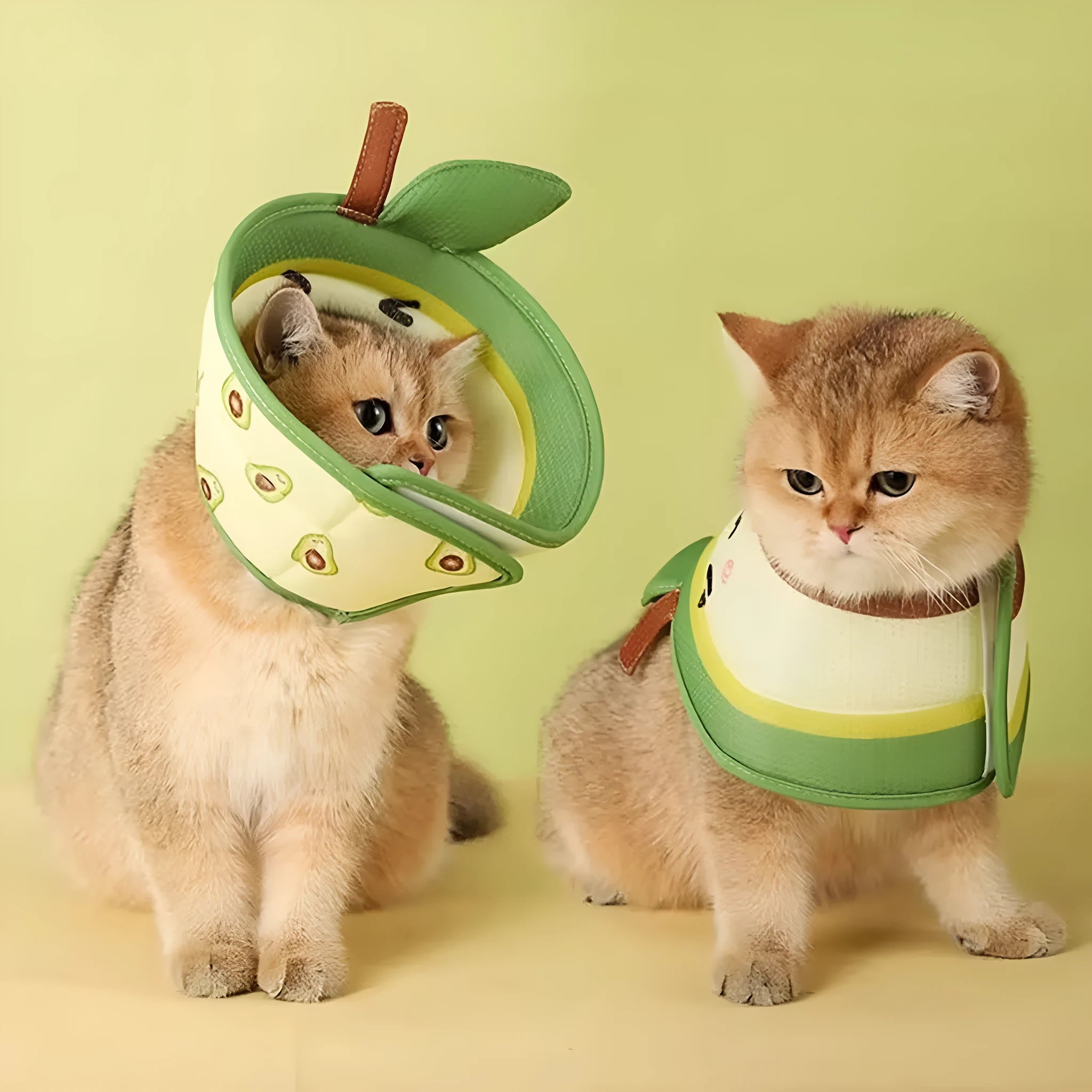 Soft EPE cat recovery cone collar with adjustable neck strap in three sizes