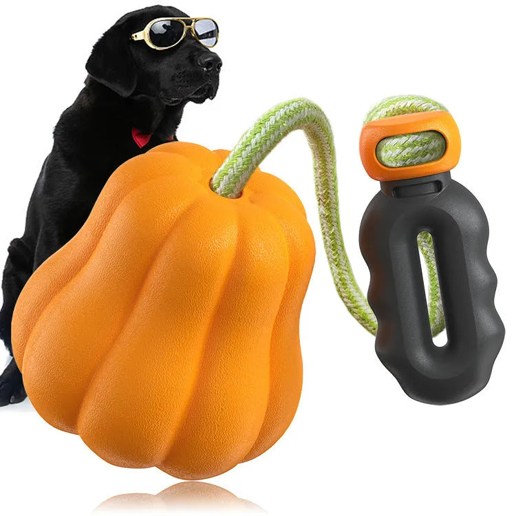 Orange plastic molar-shaped dog chew toy with a blue rope attached, on a green background.