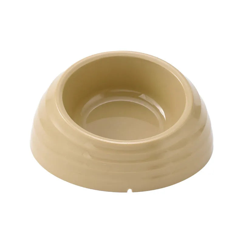 Stainless steel cat bowl in coloured plastic base available in beige, brown and light green