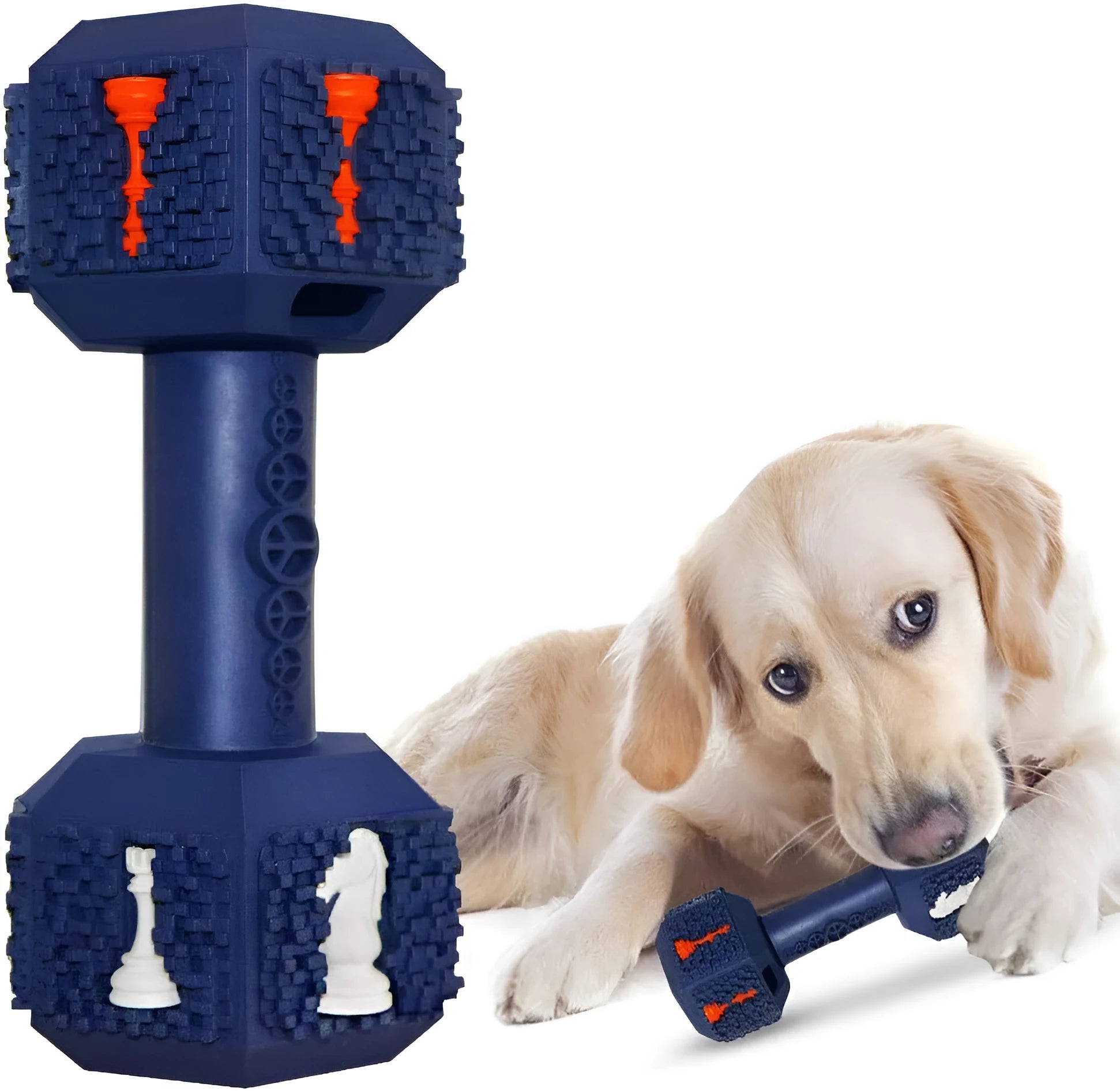 Durable dumbbell-shaped dog chew toy with hollow ends for treats in black or blue colour options