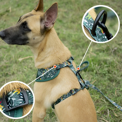 Adjustable pet harness vest six-piece set with haulage rope, collar, bow tie, and triangle scarf accessories
