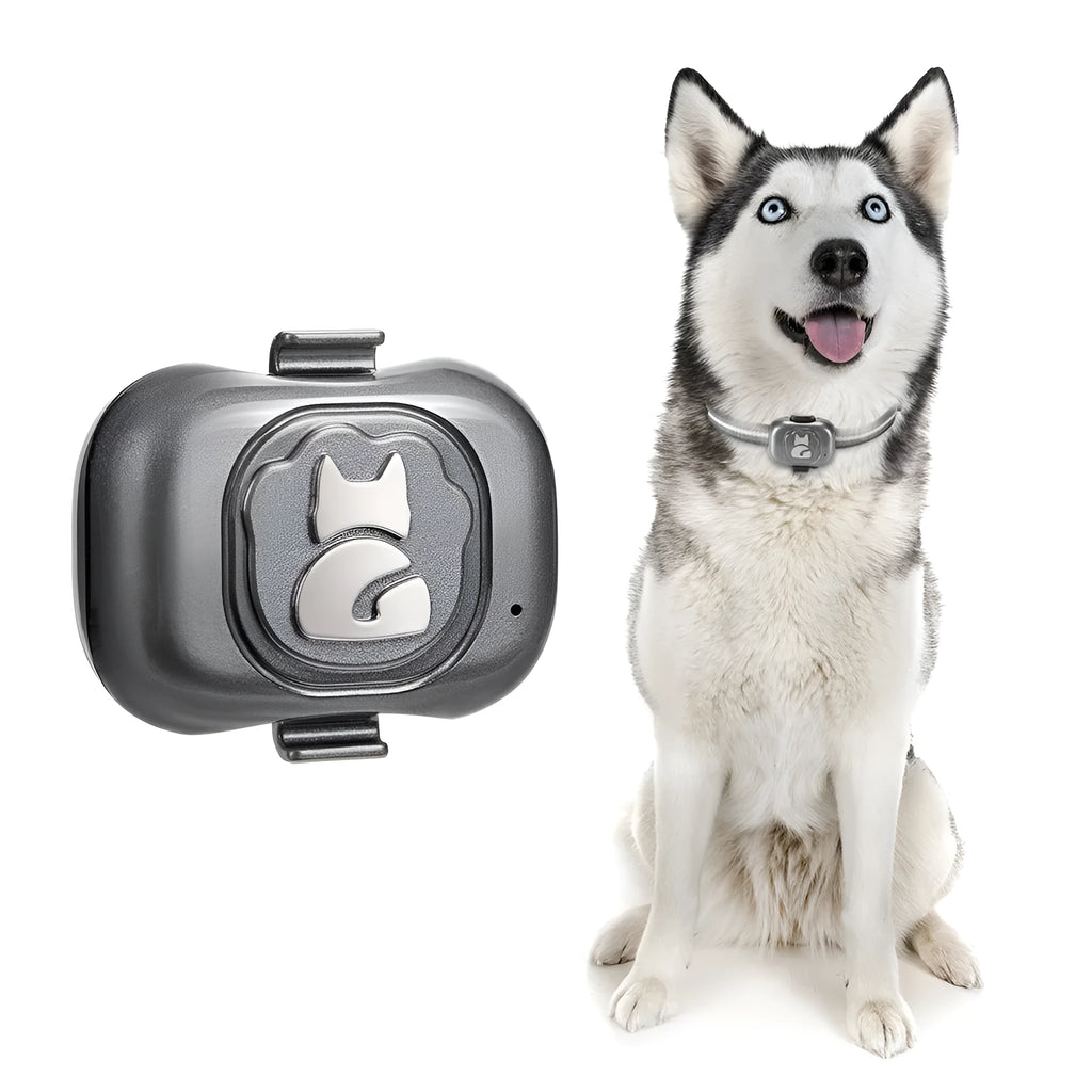 Black Pet GF-07 GPS locator tracker with hanging rope on a dog collar.