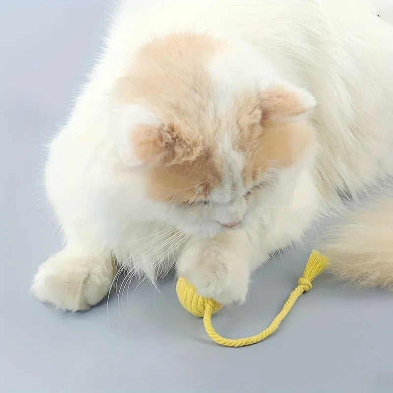 Colourful cat toy ball with attached rope and internal bell in green, pink, purple, and yellow options