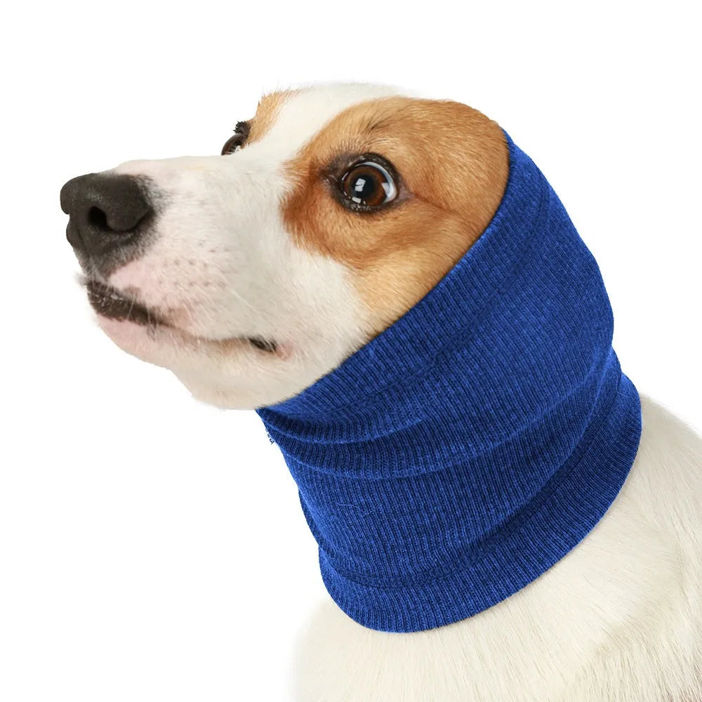 Blue polyester dog headband scarf shown on a dog, casual style, size options available.