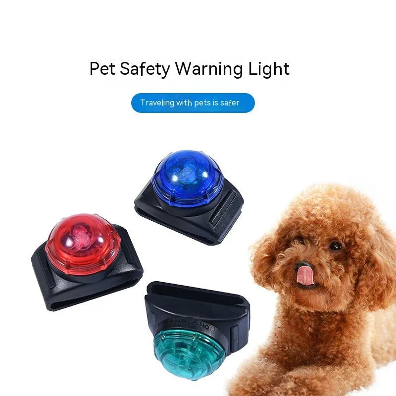 Plastic night anti loss dog walking light in blue attached to a dog collar for evening safety