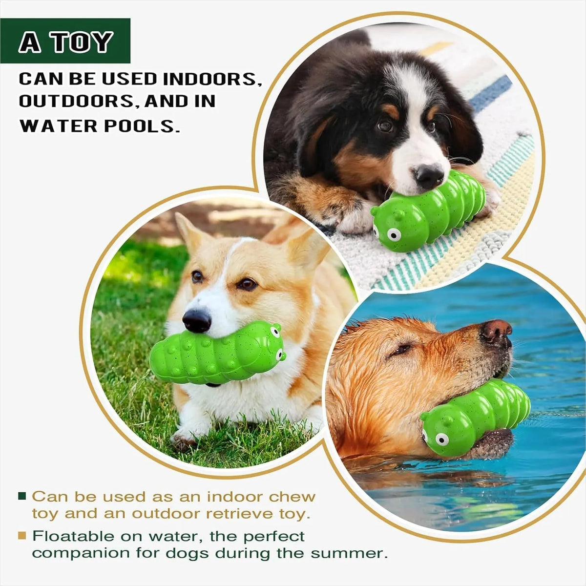 Green TPR bug-shaped squeaky dog chew toy with triple-thick construction for medium to large dogs