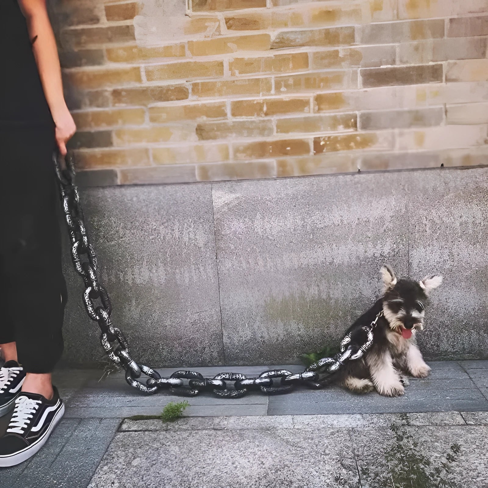 PP plastic simulation dog leash video prop in bronze, antique silver, or black colour.