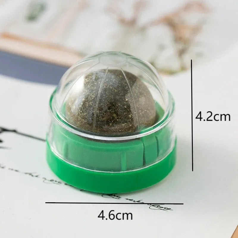 Plastic catnip ball toy in various colours for feline dental care and play