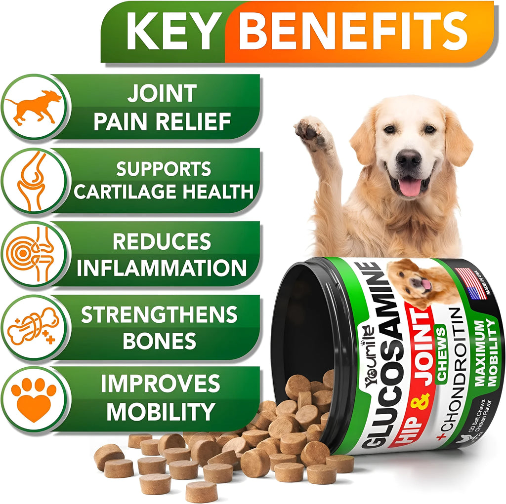 Pet hip and joint supplement chondroitin chewable tablets 300g for dogs and cats