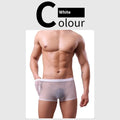 Men's thin mesh boxer briefs in sheer polyester fabric with low waist design