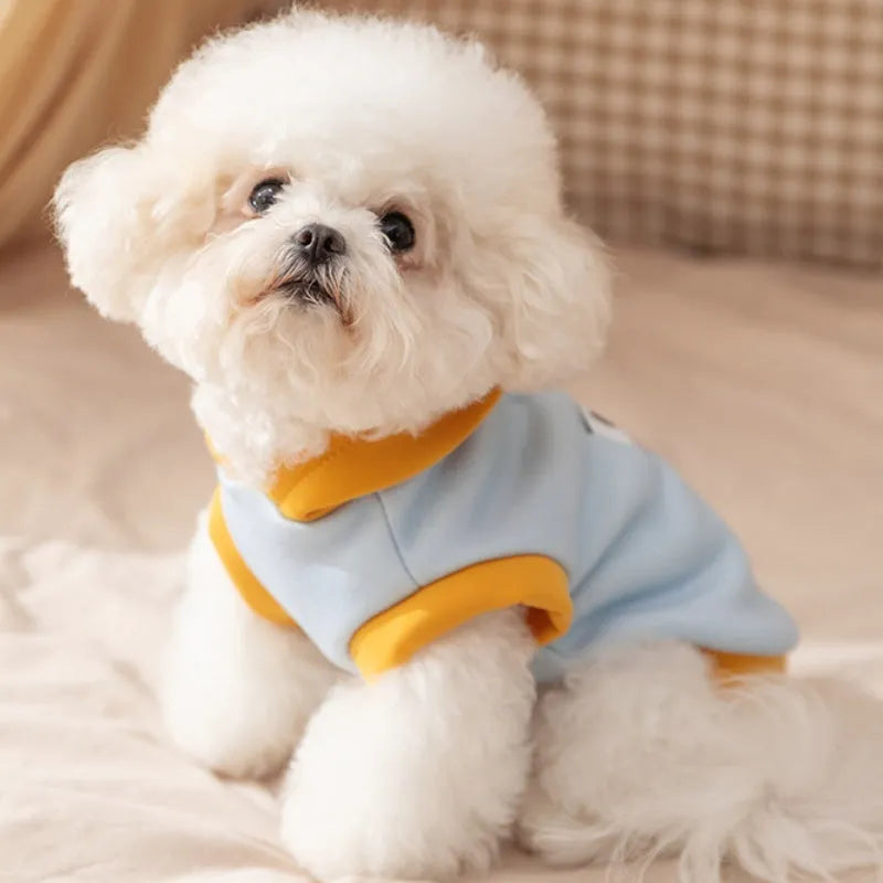 Cute cartoon bear dog hoodie in blue on small teddy bear pet for autumn winter