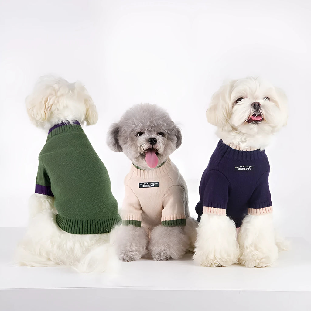 British style wool pet sweater with two-leg design in contrasting colours for fall and winter wear