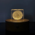 Clear 5cm resin cube with real dandelion inside on wooden box next to USB charging base.