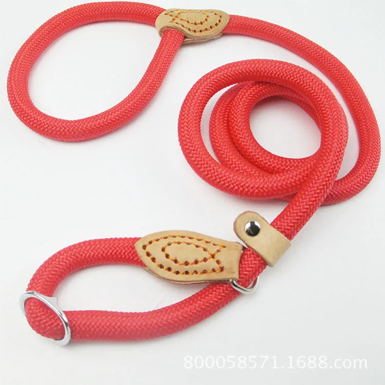 Brown nylon dog leash with P-chain hand holding rope showing 2.1 metre length