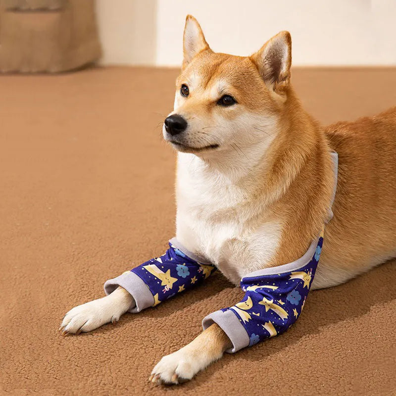 Adjustable dog knee protector with padded elbow patch and matching scarf in blue colour