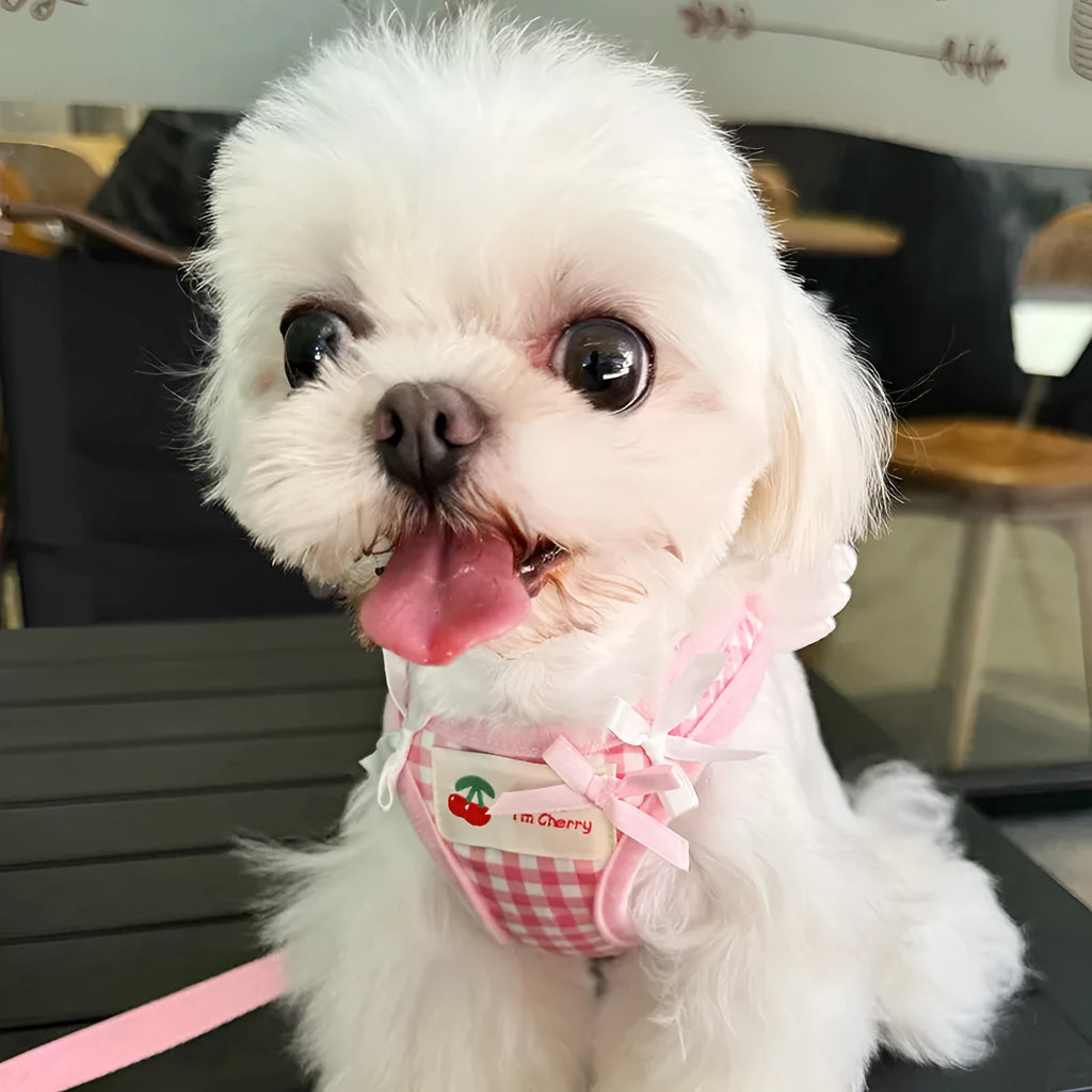 Pink adjustable cotton dog harness with chest and back handle on a small dog.