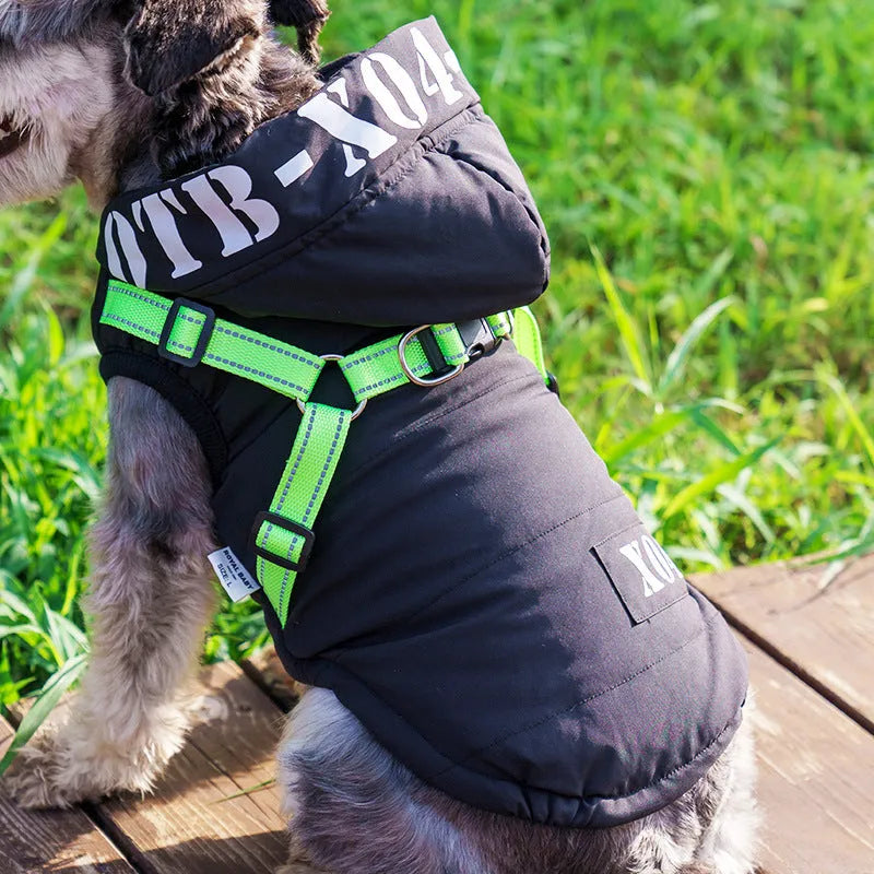 Red fleece-lined waterproof dog coat with hood on a small dog, showing casual style and fit.