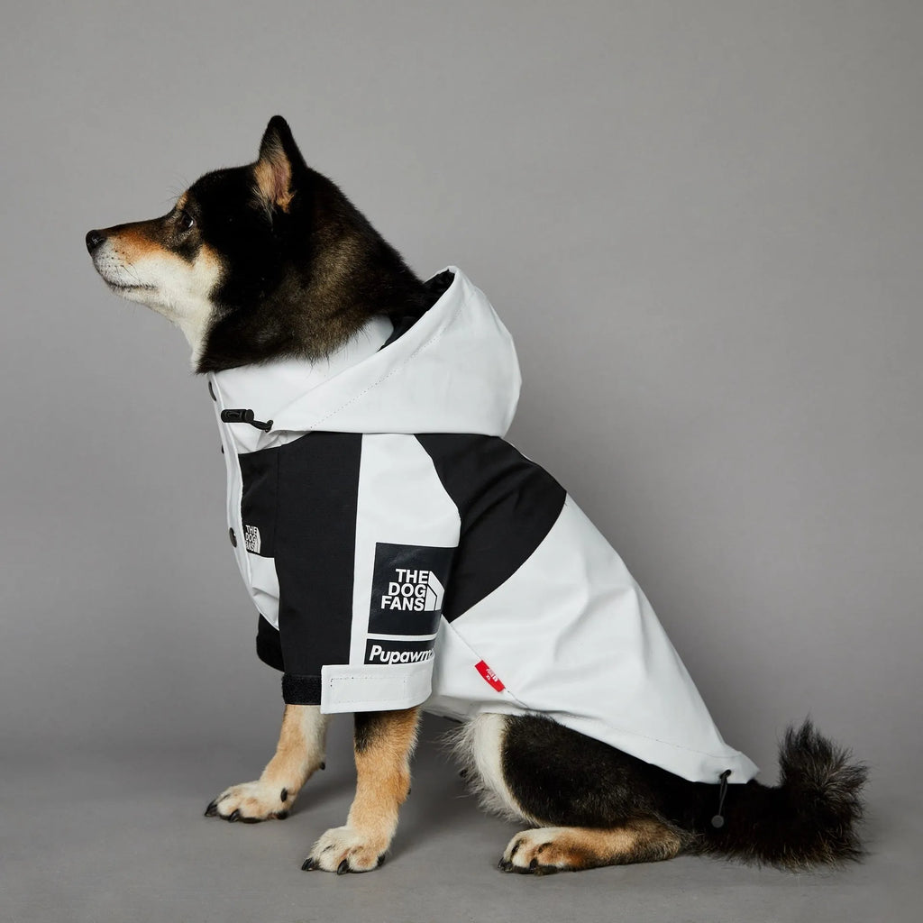 Light green windproof rainproof large dog raincoat in polyester with adjustable fit for sizes S to 5XL