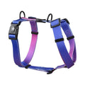 Gradient colour pet chest strap harness in polyester with size options for dog walking