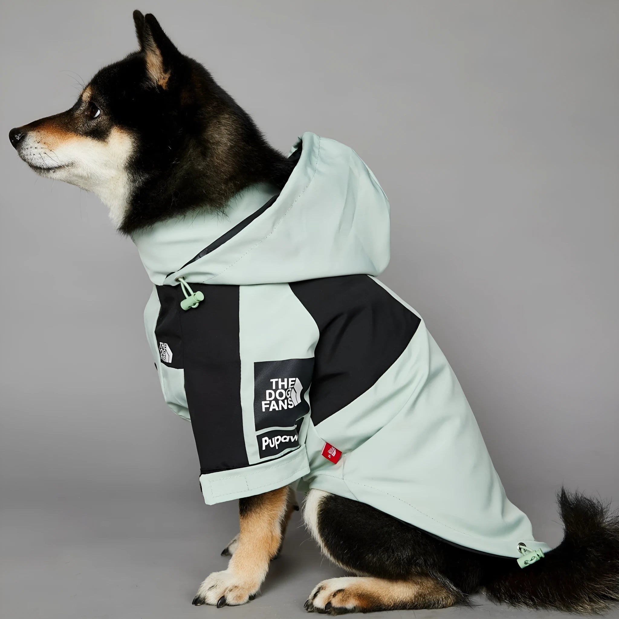 Light green windproof rainproof large dog raincoat in polyester with adjustable fit for sizes S to 5XL