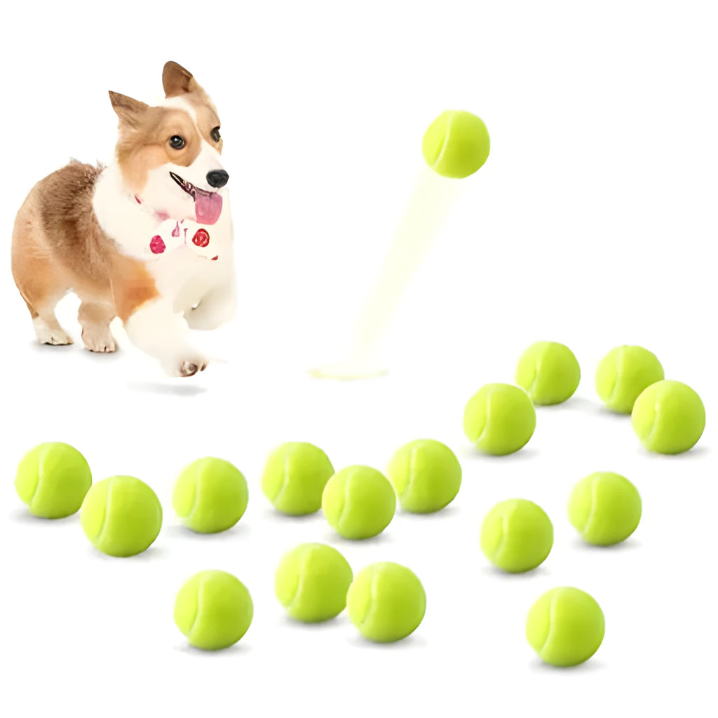 Bite-resistant rubber dog tennis ball in assorted colours, 6.3cm diameter.