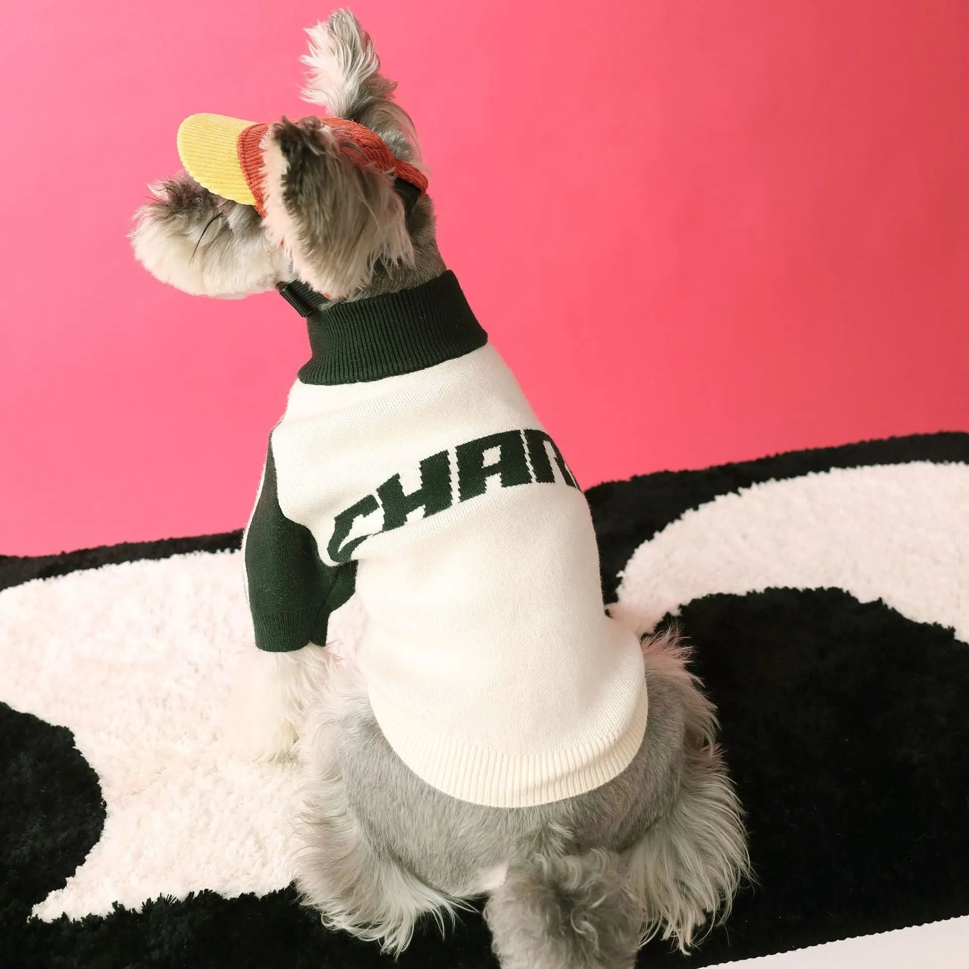 Dog wool cardigan sweater for male puppies in dark green or red colour without accessories