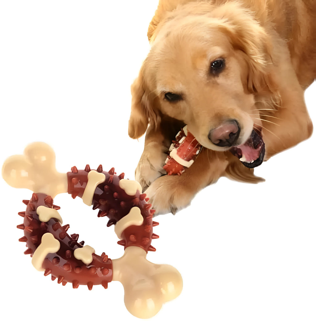 Natural rubber bone-shaped dog chew toy for teeth cleaning shown in two sizes.