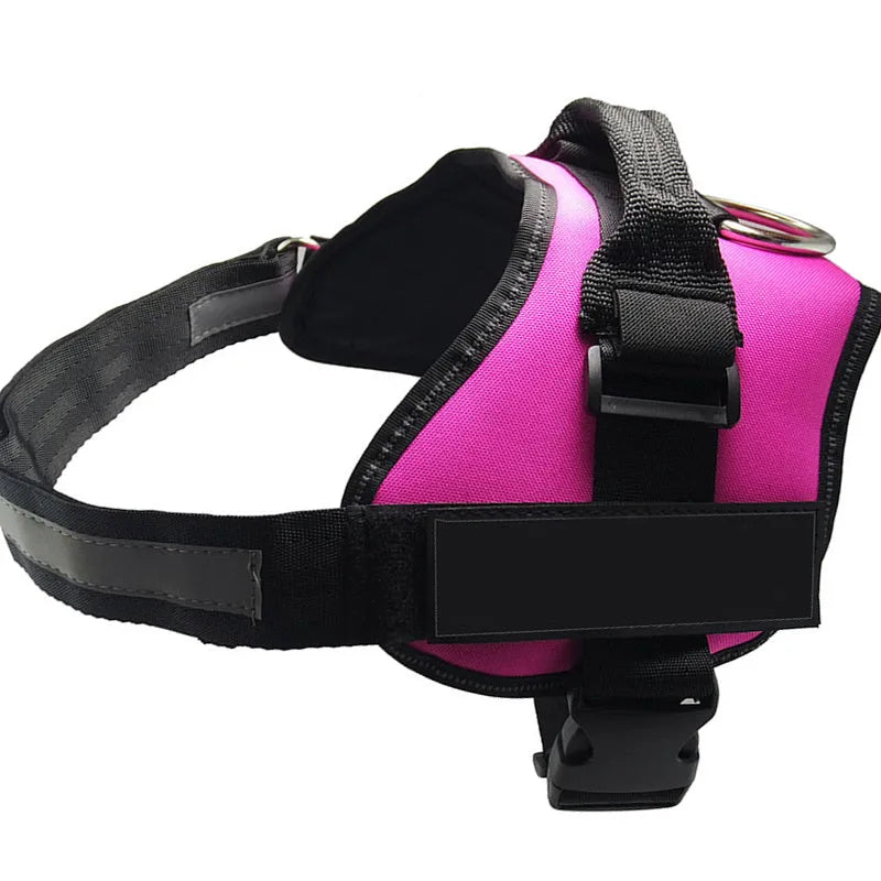 A personalised nylon dog harness with reflective strips, adjustable chest strap, and a sturdy handle shown on a dog.