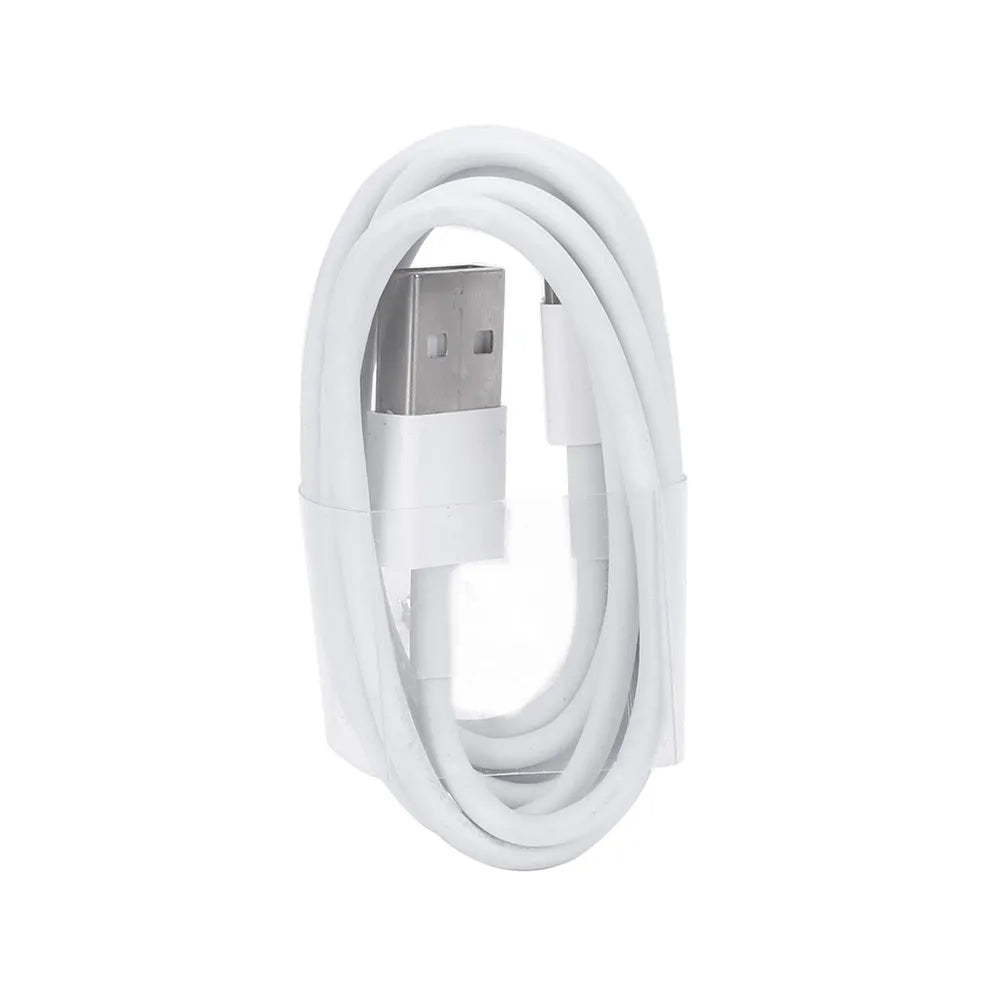 White USB travel charger and cable for iPhone and iPad charging