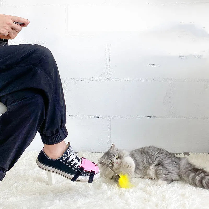 Funny cat stick with strong bite-resistant feathers in green, pink, and blue colours