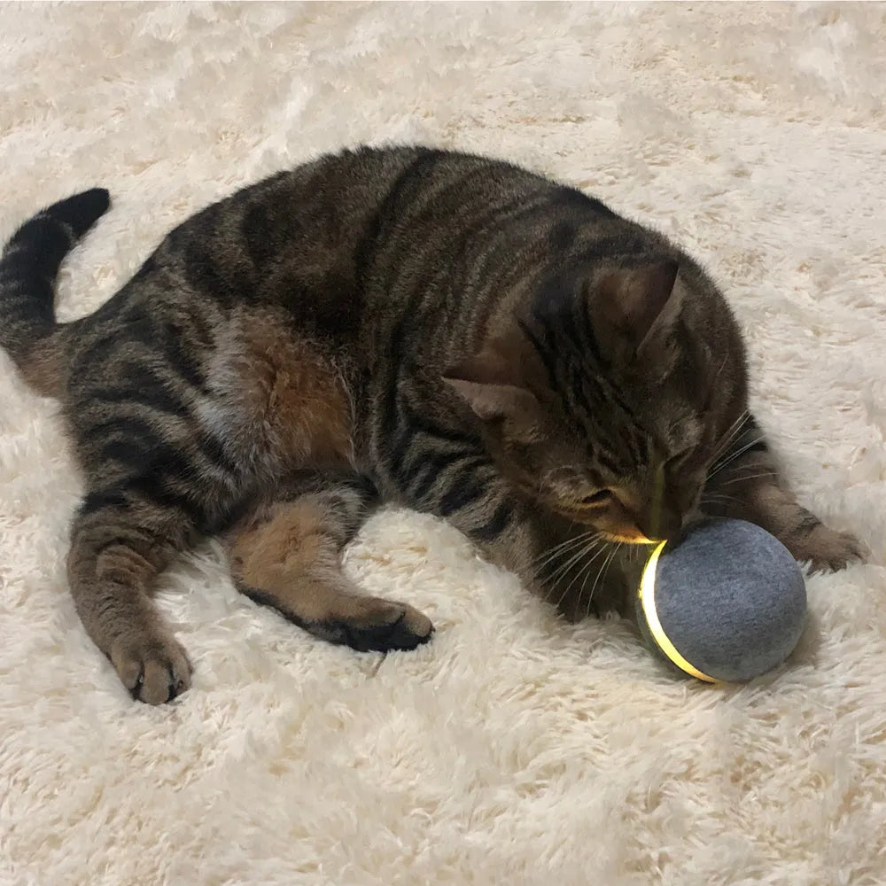 Interactive cat toy bouncing ball with LED lights in blue, USB rechargeable, 3-inch diameter, eco-friendly silicone