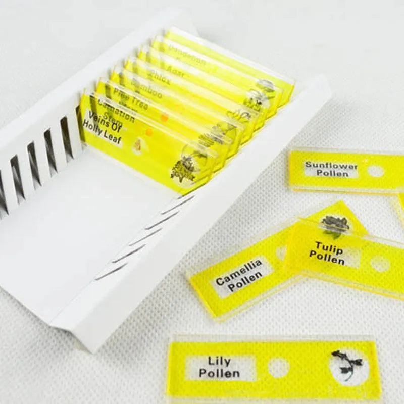 Children's plastic microscope slide set with colour-coded boxes containing plant and animal specimens