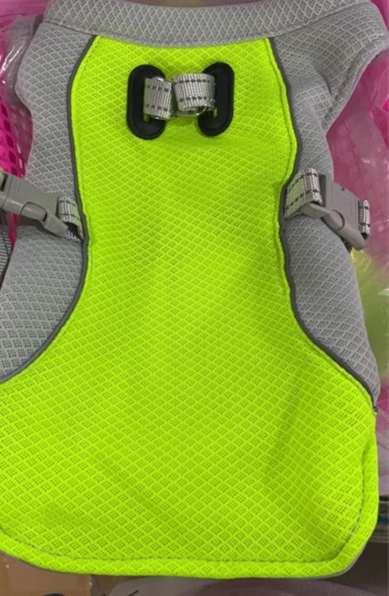 Dog wearing orange cooling vest with heat reflective outer layer and UV protection, designed for outdoor walks in summer
