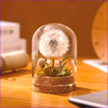 Dandelion-shaped glass night light ornament in gradient colours on wooden surface