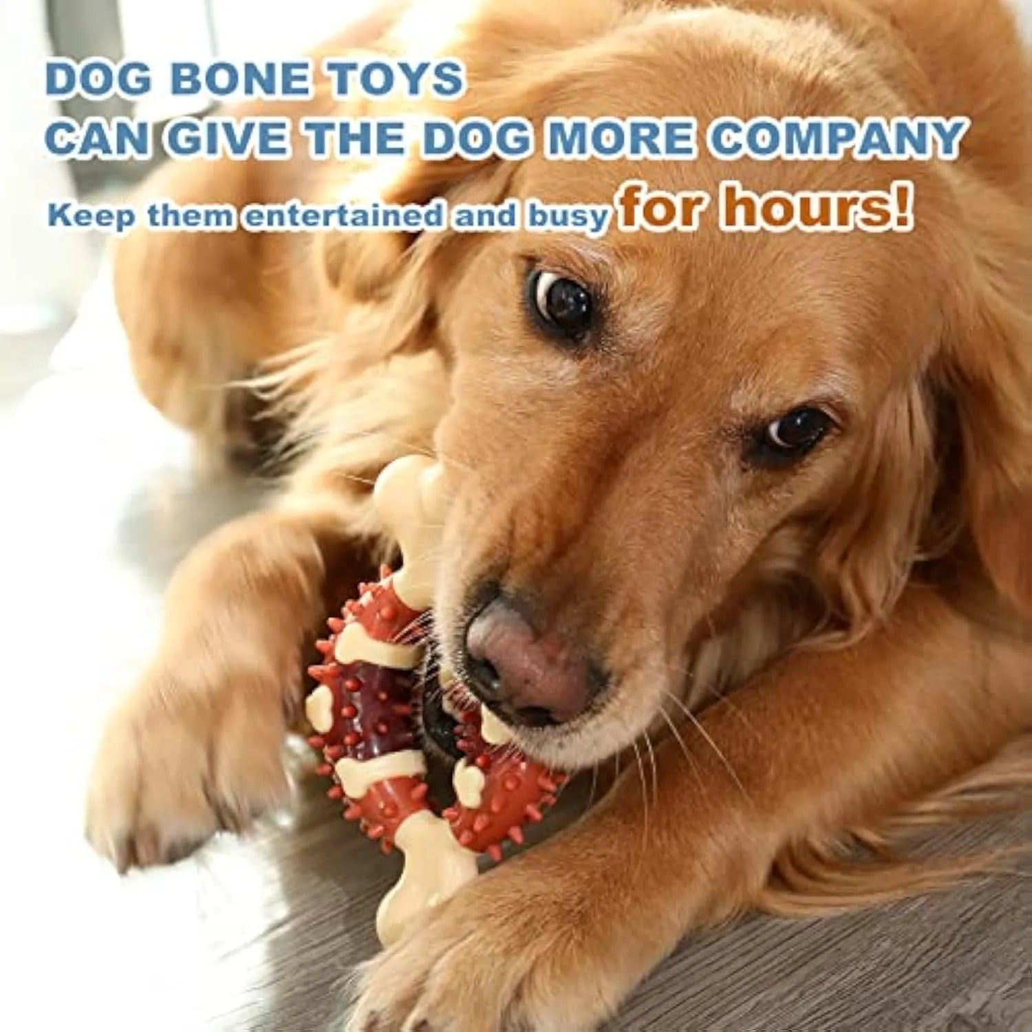 Natural rubber bone-shaped dog chew toy for teeth cleaning shown in two sizes.