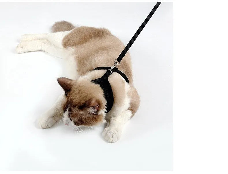 Anti-skid mesh cat harness with adjustable neck and chest, 120cm leash, black or pink