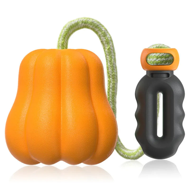 Orange plastic molar-shaped dog chew toy with a blue rope attached, on a green background.