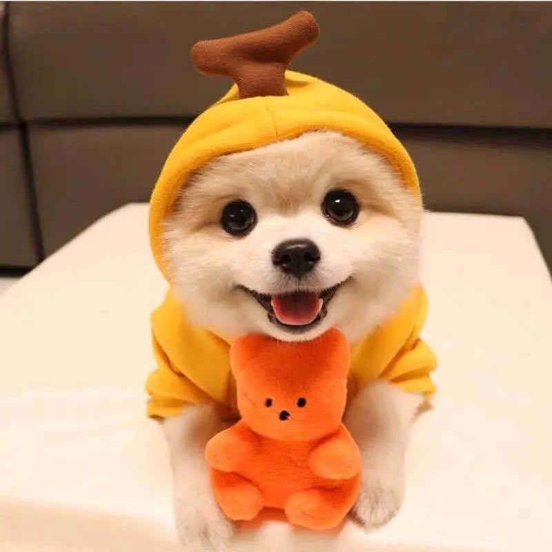 Fruit dog clothes two-legged hooded green fleece outfit for small dogs autumn winter pet sweater