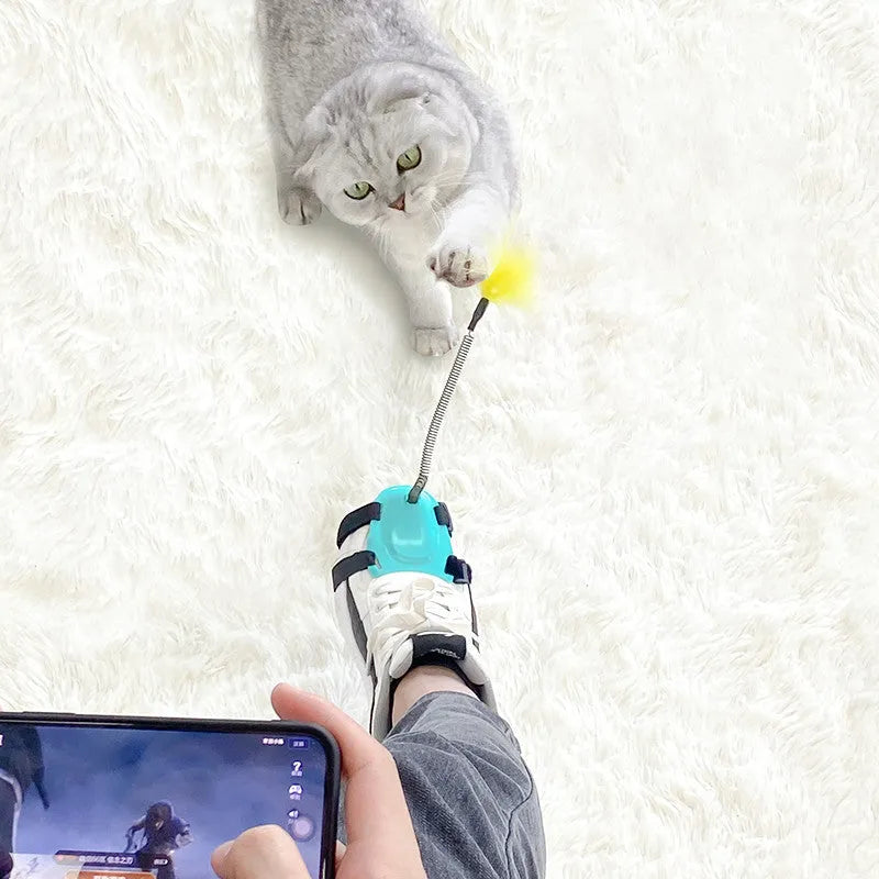 Funny cat stick with strong bite-resistant feathers in green, pink, and blue colours