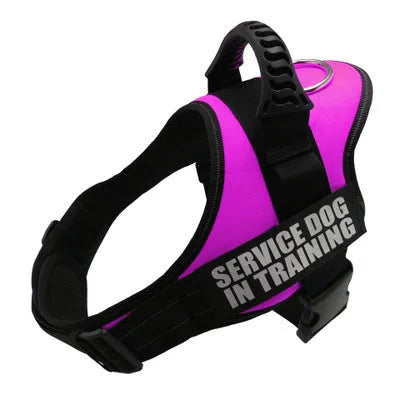 A personalised nylon dog harness with reflective strips, adjustable chest strap, and a sturdy handle shown on a dog.