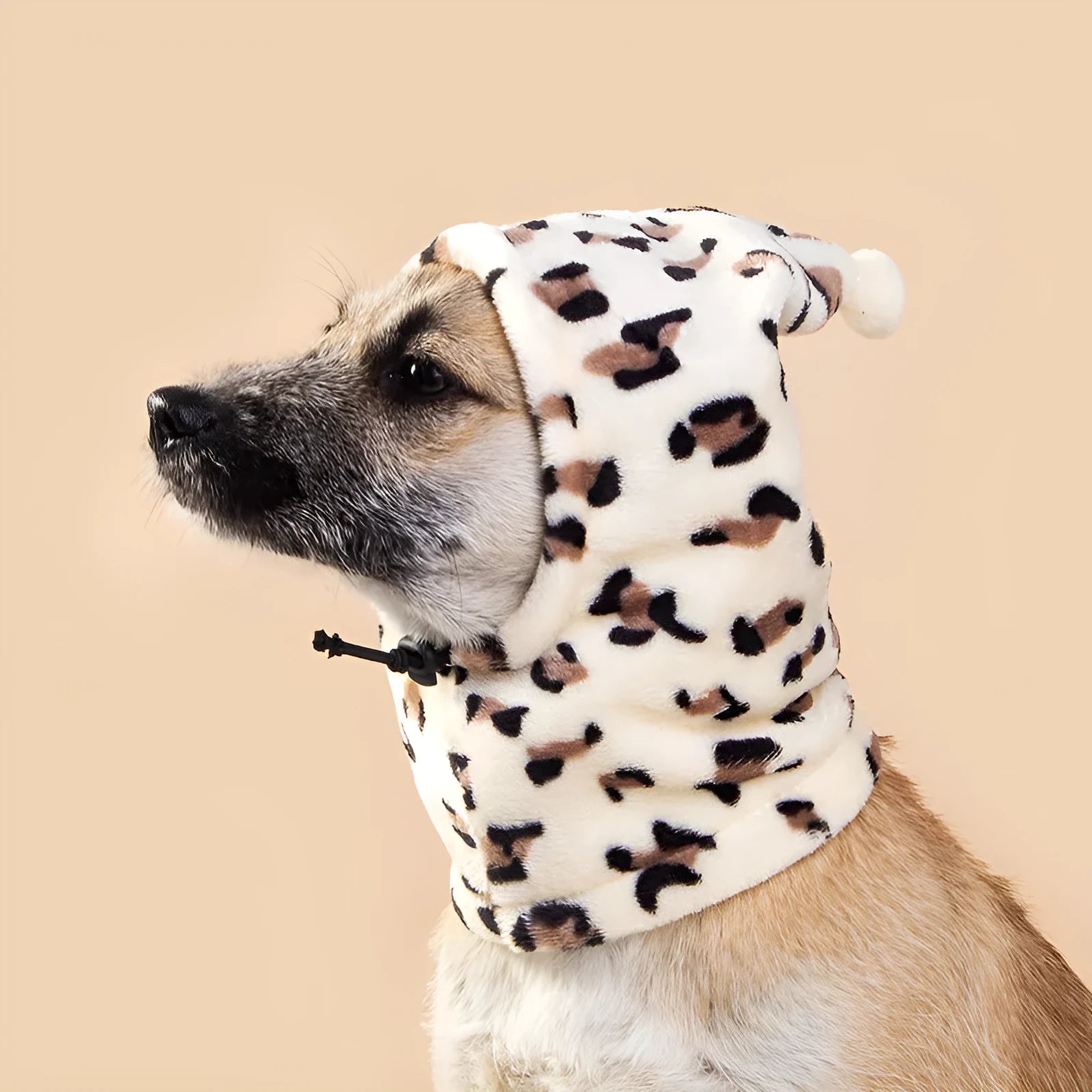 Bear headdress with rabbit ears pet costume accessory in leopard print colour option
